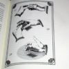 Drawing Room Deceptions by Guy Hollingworth