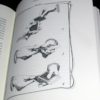 Drawing Room Deceptions by Guy Hollingworth