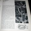 Original Magic, Vol. 1 by Marconick